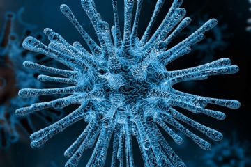Coronavirus – Attenzione Alle Notizie False