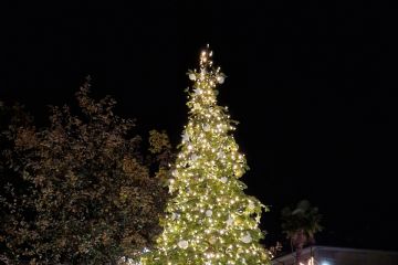 albero Natale 2024