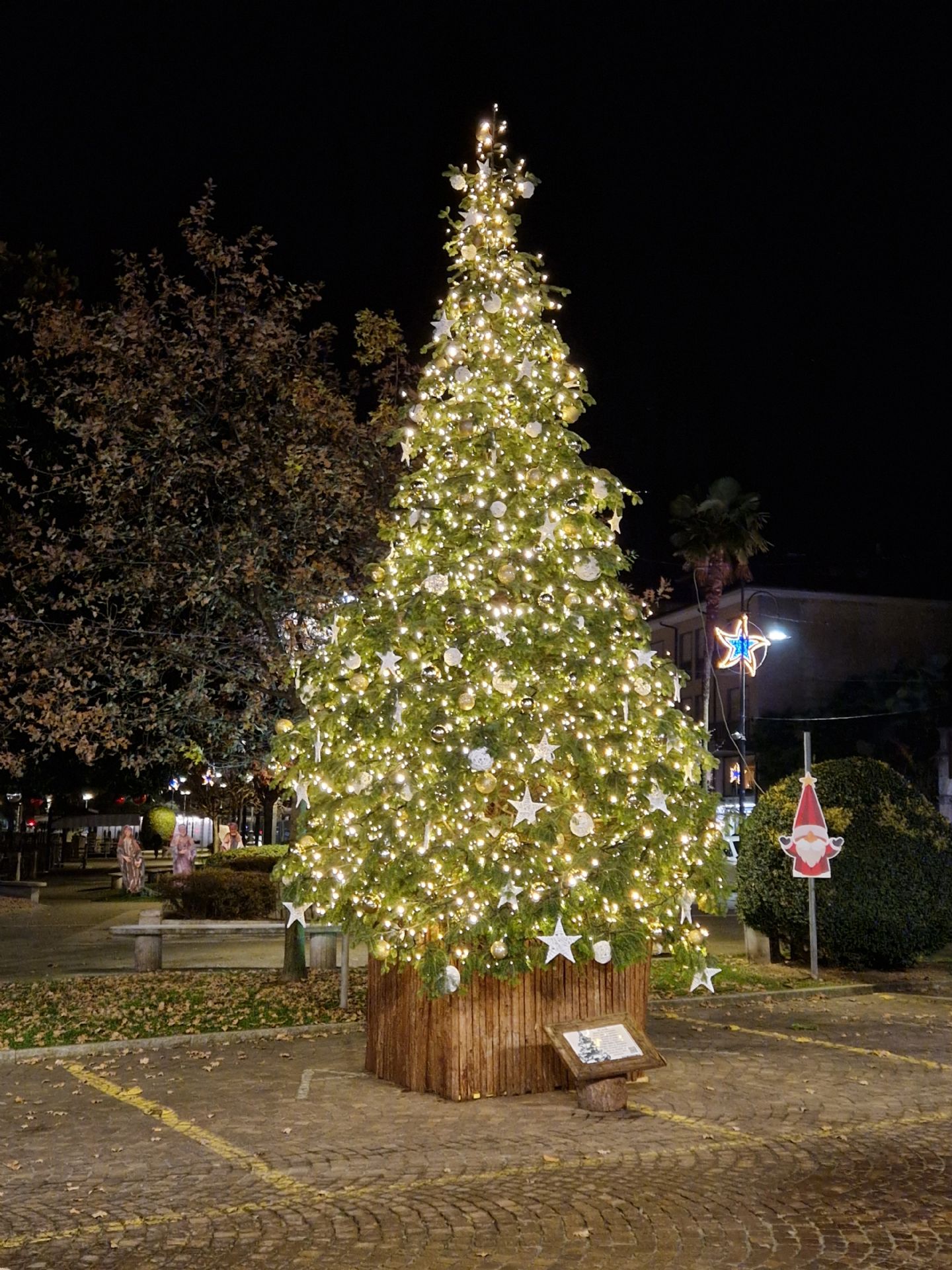 albero Natale 2024