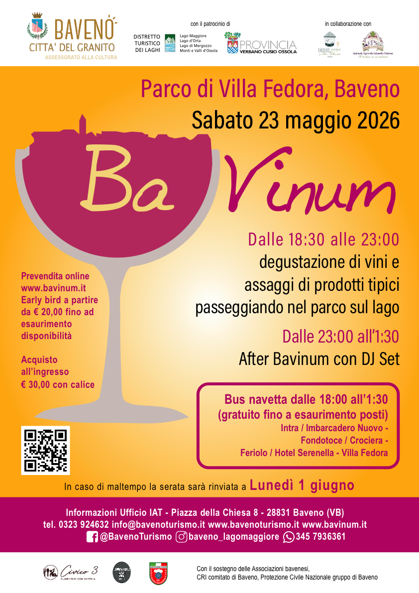 locandina bavinum